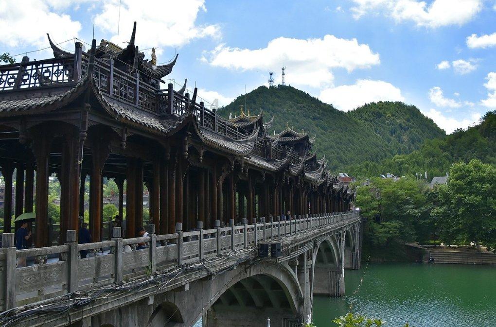 探索蜗牛世界,尽在我和我室友那个好看问答平台